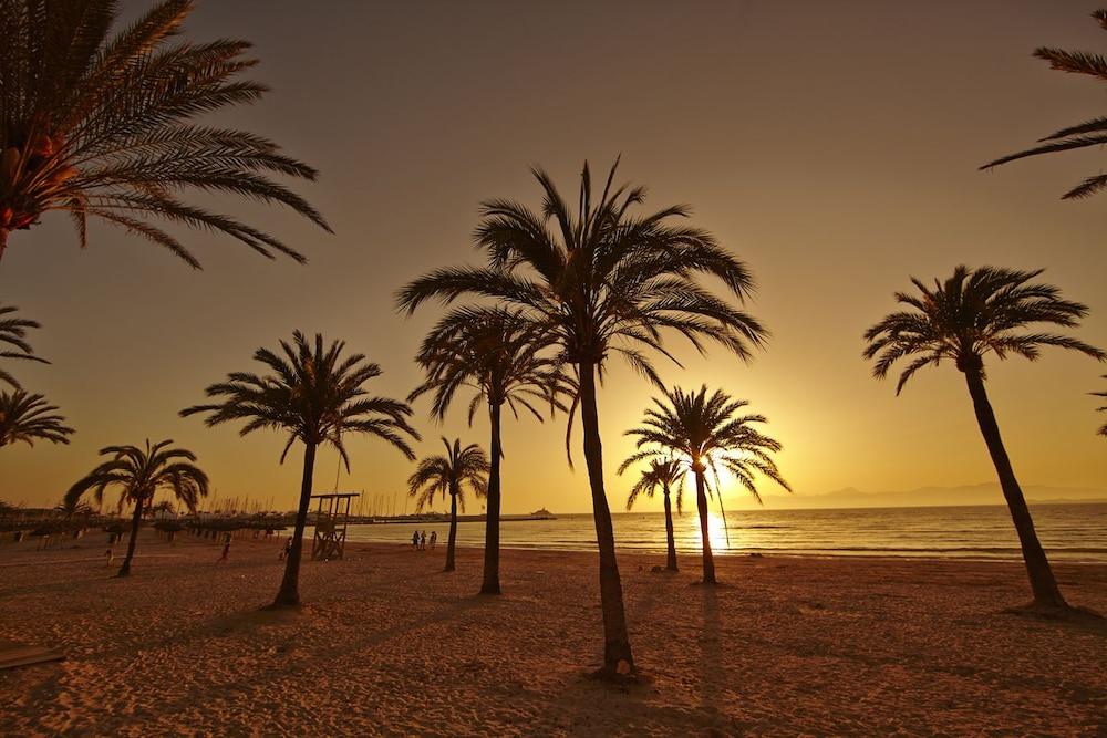 Sahara Nubia Gobi Hotel Ses Cadenes Exterior photo Palm trees on the beach at sunset